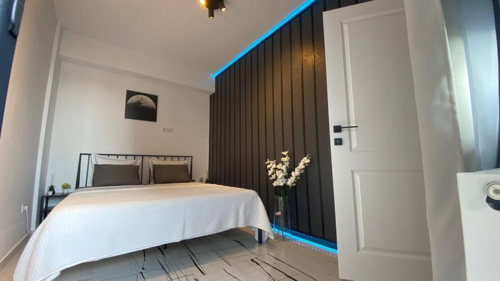 Q Luxury Apartment - Palas Center Iasi Esterno foto